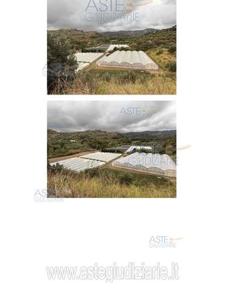 Terreno Agricolo Petrizzi [A4352968]