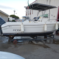Robalo R230