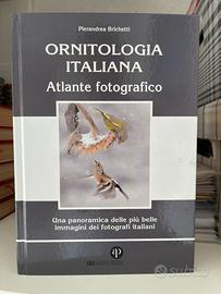 Ornitologia italiana libro illustrato Brichetti
