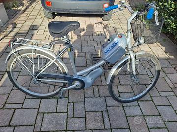 Bici pedalata assistita