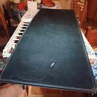 Cappelliera delta integrale targa oro