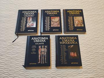 Collana trattati anatomia Anastasi 4ª edizione