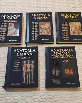Collana trattati anatomia Anastasi 4ª edizione