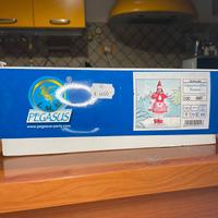 vestito carnevale bimba 24 mesi