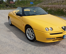 Alfa spider