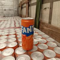 Fanta in lattina da 33 cl.