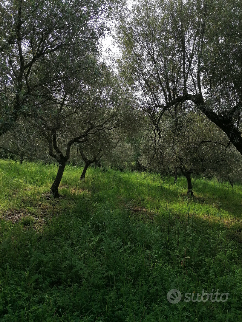 Terreno con rustico - Vista 4