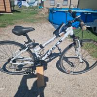 Mountain bike