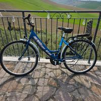 Bicicletta da passeggio