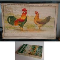 Lotto di 2 oggetti a tema scolastico d'epoca.