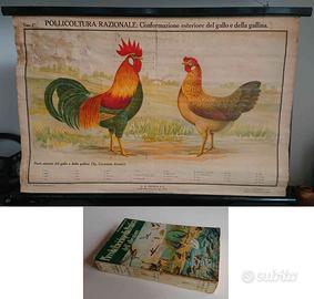 Lotto di 2 oggetti a tema scolastico d'epoca.