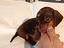 Immagine 1