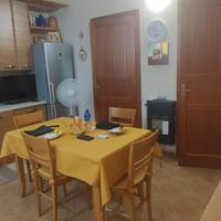 Bilocale ristrutturato e arredato