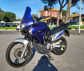 Honda XL 650 TRANSALP ANNO 2005 RESTAURATA