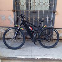 Bici Casadei customizzata con 2 motori