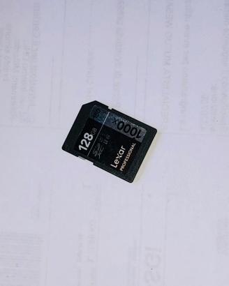 SD XC 128gb lexsar professional
