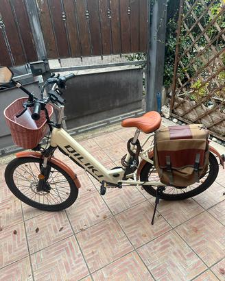 Bicicletta pedalata assistita