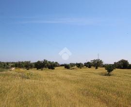 TER. RESIDENZIALE A BRINDISI