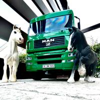 CAMION GIOCATTOLO bruder