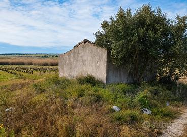 Asta - Terreno - Noto