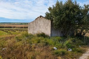 Asta - Terreno - Noto
