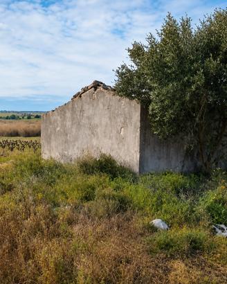 Asta - Terreno - Noto