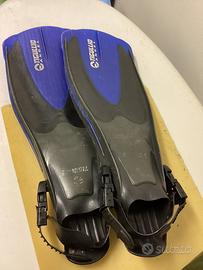 Pinne apnea sub Tigullio Angel