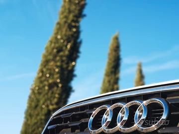 AUDI PRIMA SCELTA PLUS  1600cc 2018 - 115.000km -