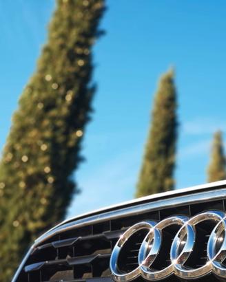 AUDI PRIMA SCELTA PLUS  1600cc 2018 - 115.000km -