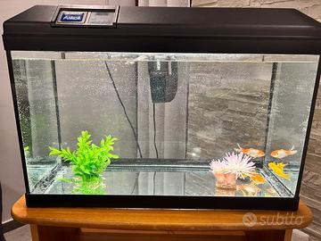 Acquario completo Askoll