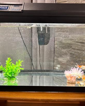 Acquario completo Askoll