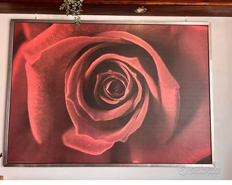 Quadro Rosa Rossa