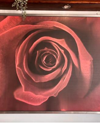 Quadro Rosa Rossa