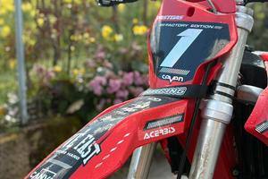 GAS GAS MCF 450 2022