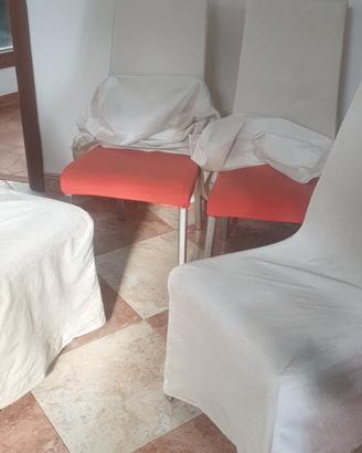 sedie Calligaris