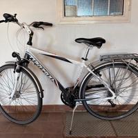 Bicicletta Torpado navigator T430