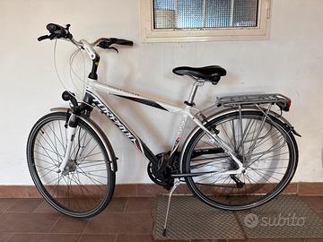 Bicicletta Torpado navigator T430