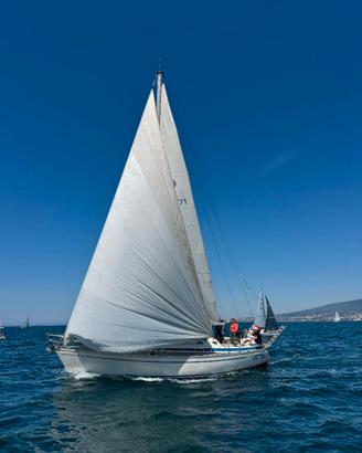 Bavaria 38 Exclusive condizioni eccellenti