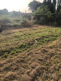 Terreno agricolo lido di Camaiore