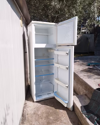  frigo 