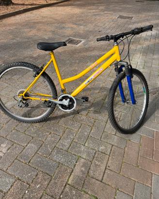 Bicicletta raggio 26