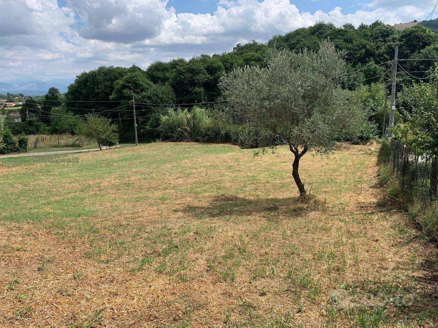 Appartamento – Genazzano, Roma Capitale - Vista 3