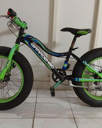 Bici da ragazzo