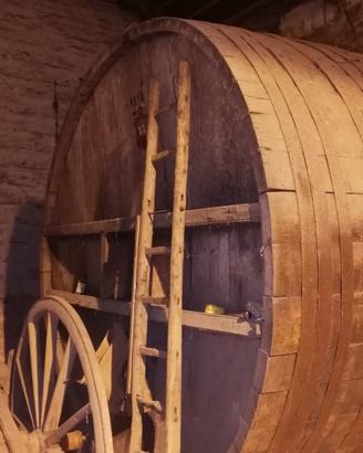 botti per vino