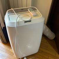 Pinguino Condizionatore Zephir 12000