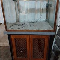 Acquario Marino nuovo