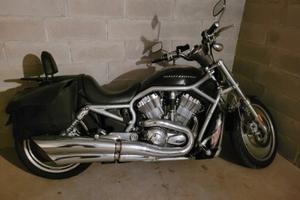 Harley-Davidson V-Rod - 2005
