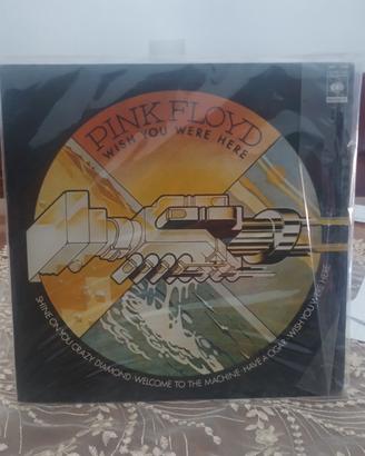 collezione  vinili Pink floyd