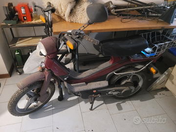 Piaggio Grillo 50cc Moto e Scooter In vendita a Treviso