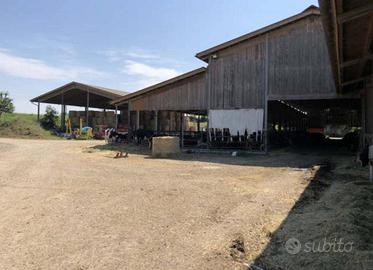 Immobile in asta di 5300 m² con 1 locale a Ponte d